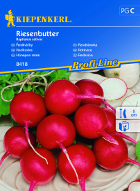 Piros retek Riesenbutter (mag)